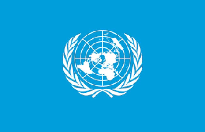 Quiz: Was wissen Sie über die Vereinten Nationen?